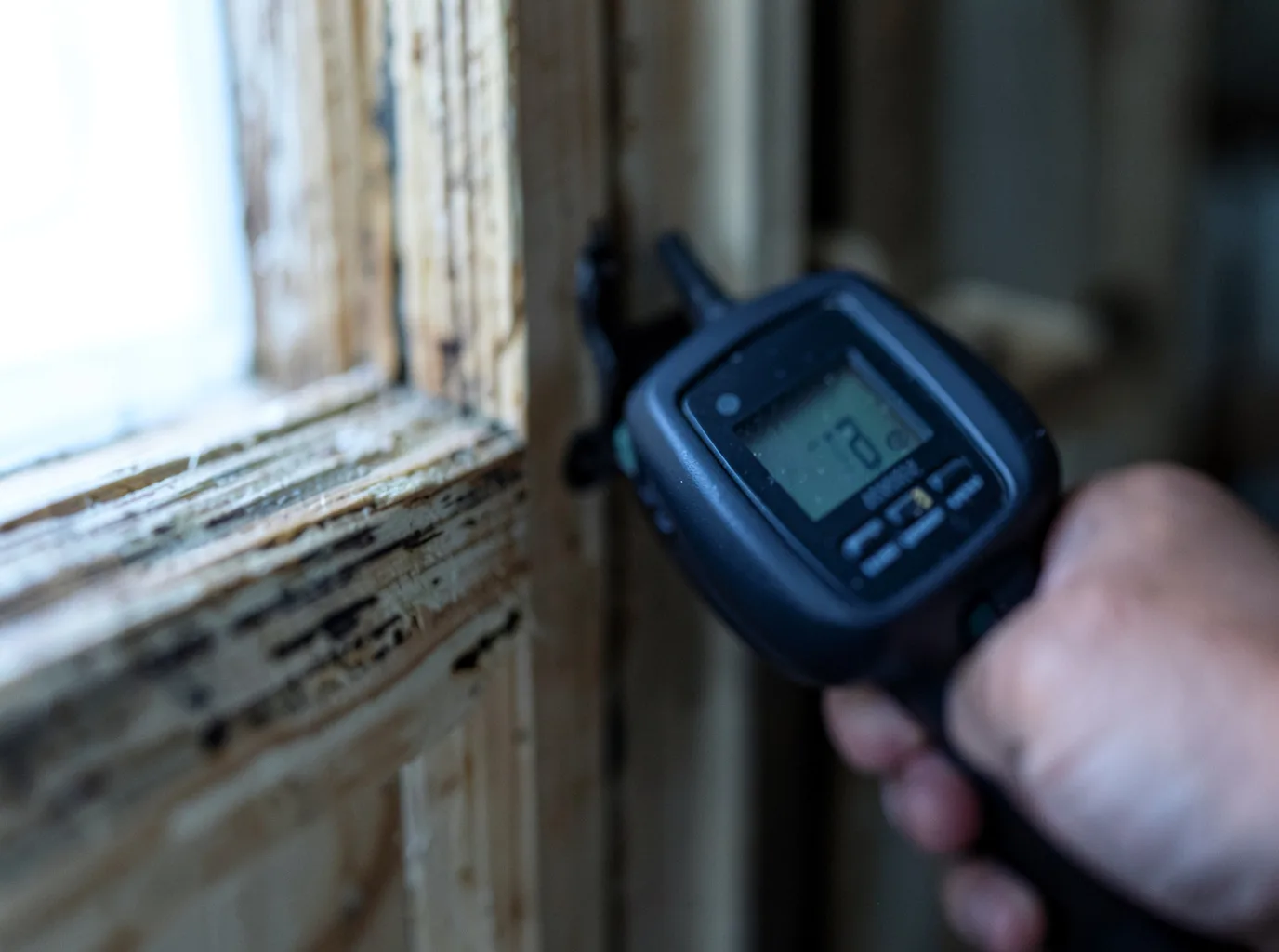 Moisture Inspection And Documentation in Lisbon, IA